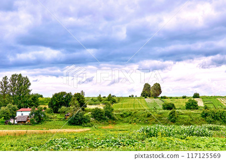 Cozy rural house with a market garden in a green valley 117125569