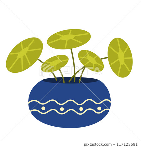 2243_house_plant_17 2243_house_plant_17 117125681