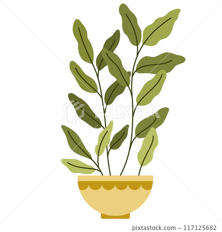 2230_house_plant_4 2230_house_plant_4 117125682