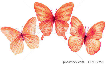 Bright Butterflies set watercolor painting illustration isolated on background, colorful butterfly clipart Bright Butterflies set watercolor painting illustration isolated on background, colorful butterfly clipart 117125758