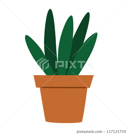 2239_house_plant_13 2239_house_plant_13 117125759