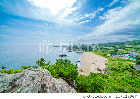 從青森縣種差海岸的最高點高岩展望台眺望的景色 117125967