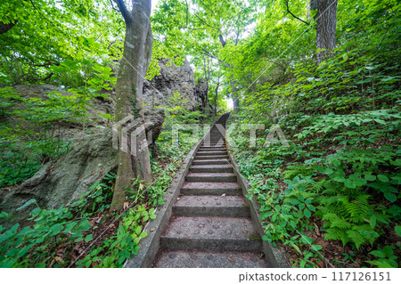 Stairs to the highest Takaiwa observation deck on the Tanesashi Coast in Aomori Prefecture 117126151