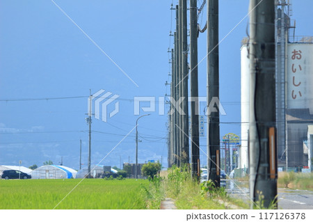 穿過稻田的筆直道路旁矗立著許多電線桿。 117126378