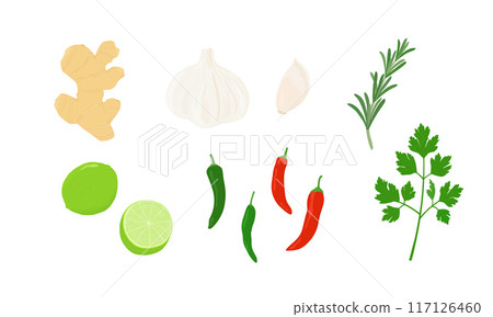 各種香料的插圖:大蒜、生薑、辣椒 各種香料的插圖:大蒜、生薑、辣椒 117126460