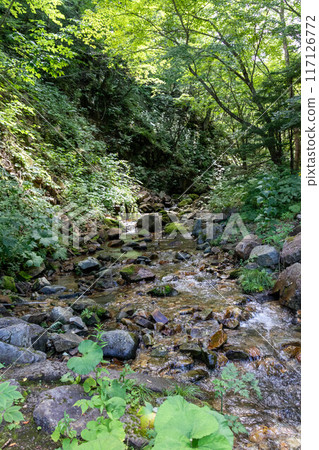 西富澤野澤湖健行路線 117126772