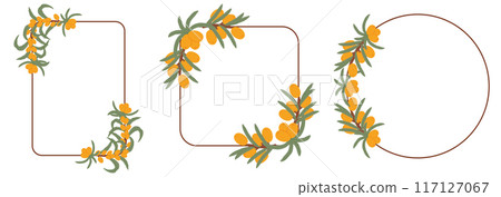 Illustration of three sea buckthorn berry wreaths with green leaves, each forming a circular arrangement of the bright orange berries and verdant foliage. Illustration of three sea buckthorn berry wreaths with green leaves, each forming a circular arrangement of the bright orange berries and verdant foliage. 117127067