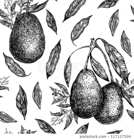 Seamless pattern with avocado hass graphic illustration, hand drawn sketch of vegetable, leaves, flowers. Botanical drawing of tropical fruit. Engraving for food packaging design. Seamless pattern with avocado hass graphic illustration, hand drawn sketch of vegetable, leaves, flowers. Botanical drawing of tropical fruit. Engraving for food packaging design. 117127304
