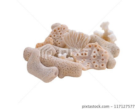 Corals heap isolated on white 117127577
