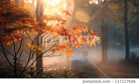 beautiful autumn landscape with yellow leaves on the branches of trees in the forest at sunset, sunlight and beautiful nature 117127686