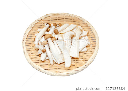 Cut bunashimeji mushrooms and cut eringi mushrooms served in a colander [white background, cutout] 117127884