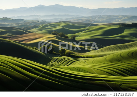 beautiful perfect landscape, green grass on the hills, green fields and sky with white clouds, bright sunlight and shadows 117128197