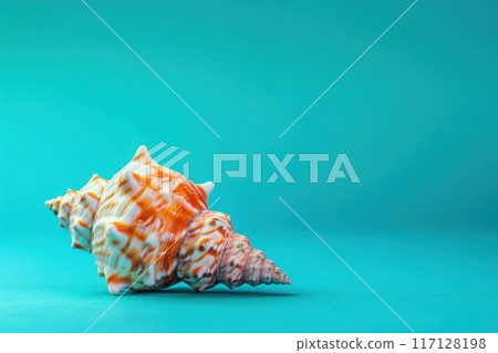 A delicate sea shell showcases its intricate design, elegantly positioned on a solid teal background, radiating natural beauty and tranquility. 117128198