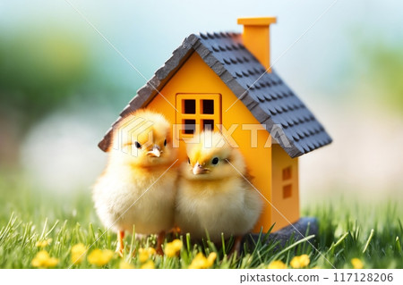 Small chickens against the background of spring nature on Easter, in a bright sunny day at a ranch in a village. 117128206