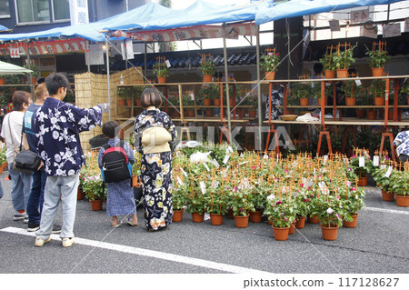 在牽牛花市場日，與您的孩子一起挑選牽牛花並在節日期間食用。 117128627