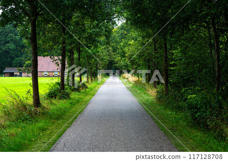 Straight gravel road through the woods at the Dutch countryside around Goor, Overijssel, The Netherlands 117128708