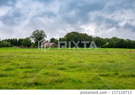 Green agriculture fields on a rainy day at the Dutch countryside around Rossum, Overijssel, The Netherlands 117128713