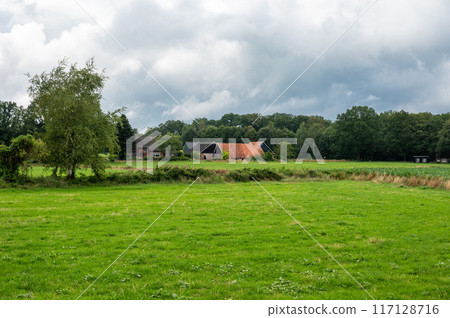 Green meadows and farm houses at the Dutch countryside around Ootmarsum, Overijssel, The Netherlands 117128716