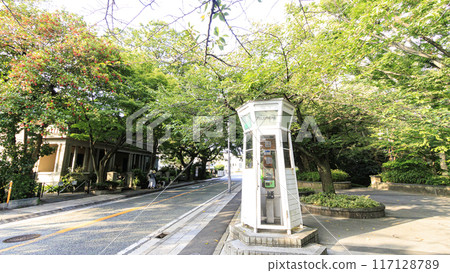 山手西洋博物館的夏天（山手博物館、山手十番館、山手234號館） 117128789