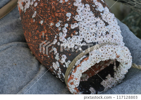 放置在漁港的章魚罐 放置在漁港的章魚罐 117128803