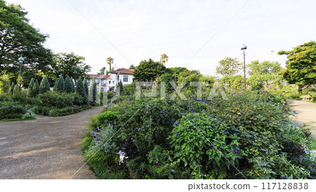 山手西屋的夏天（港景山公園） 117128838