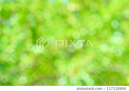 陽光,背景材料,綠色,圓點,散景,光粒子。 陽光,背景材料,綠色,圓點,散景,光粒子。 117128908