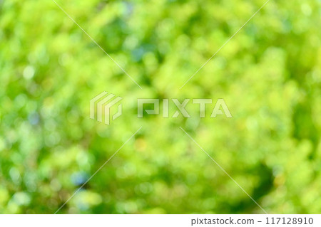 Sunlight filtering through the trees, background material, green, polka dots, bokeh balls, particles of light. 117128910