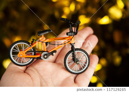 image of miniature bicycle 117129285