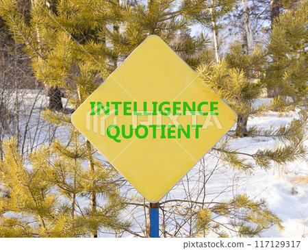 IQ intelligence quotient symbol. Concept words IQ intelligence quotient on yellow road sign. Beautiful forest snow blue sky background. Business psychology IQ intelligence quotient concept. Copy space IQ intelligence quotient symbol. Concept words IQ intelligence quotient on yellow road sign. Beautiful forest snow blue sky background. Business psychology IQ intelligence quotient concept. Copy space 117129317