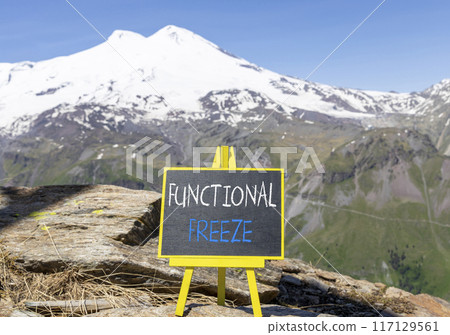 Functional freeze symbol. Concept words Functional freeze on beautiful black blackboard. Chalkboard. Beautiful mountain Elbrus background. Business psychology functional freeze concept. Copy space. 117129561
