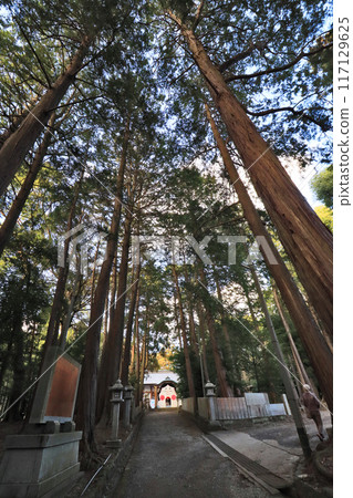 The approach to Higashiono Hachiman Shrine and Otafuku in Kokuraminami Ward, Kitakyushu City 117129625