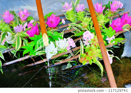Morioka Hachiman Shrine Flower Water Purification Morioka Hachiman Shrine Flower Water Purification 117129741