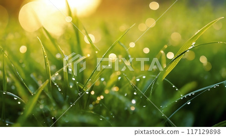 a beautiful spring landscape with dew on the grass in a forest glade after rain, sunlight and beautiful nature a beautiful spring landscape with dew on the grass in a forest glade after rain, sunlight and beautiful nature 117129898