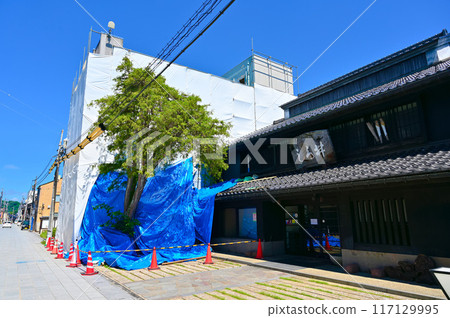 Noto Peninsula earthquake, Ipponsugi Street, disaster recovery, Nanao City 117129995