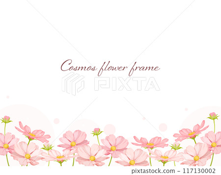 A beautiful flower frame with pink cosmos painted in watercolor A beautiful flower frame with pink cosmos painted in watercolor 117130002