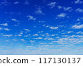 Bright pop blue sky with white clouds 117130137