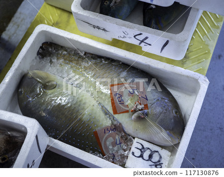 Makubu sold at the Okinawa fish market Tomari Iyumachi Makubu sold at the Okinawa fish market Tomari Iyumachi 117130876