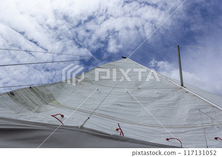 Head sail of a sailboat at sea, sailing in the ocean, yacht lifestyle, white sail  117131052