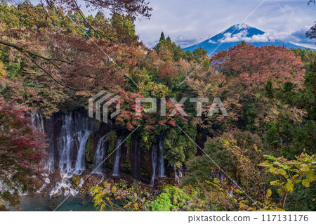 [靜岡縣]紅葉季節的白絲瀑布和富士山 117131176