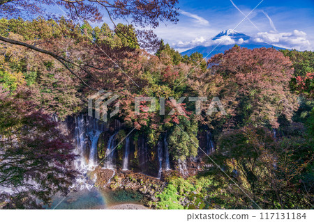 [Shizuoka Prefecture] Shiraito Falls and Mt. Fuji during autumn 117131184