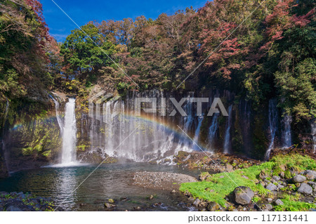 [Shizuoka Prefecture] Shiraito Falls during autumn 117131441