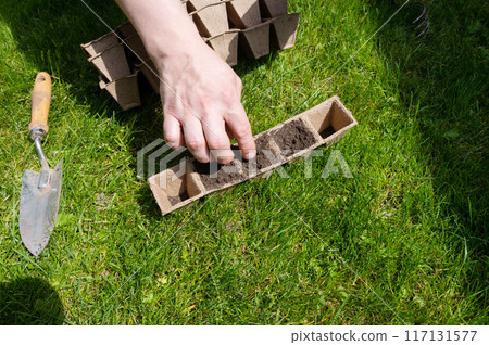 Garden Planting Preparation with Biodegradable Pots on Lawn 117131577