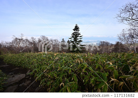 Climbing Mount Azuma, Nagano Prefecture, Gunma Prefecture 117131682