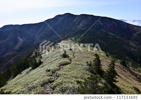 Climbing Mount Azuma, Nagano Prefecture, Gunma Prefecture 117131695