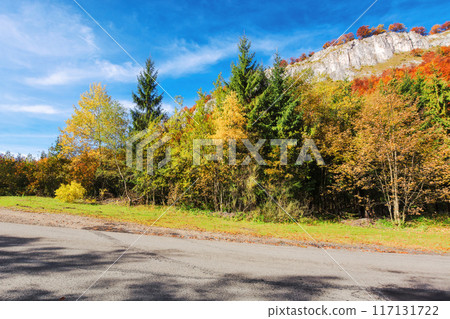 asphalt country road in mountain in autumn. forest on the hill in fall foliage. sunny weather. road trip through countryside of romania asphalt country road in mountain in autumn. forest on the hill in fall foliage. sunny weather. road trip through countryside of romania 117131722