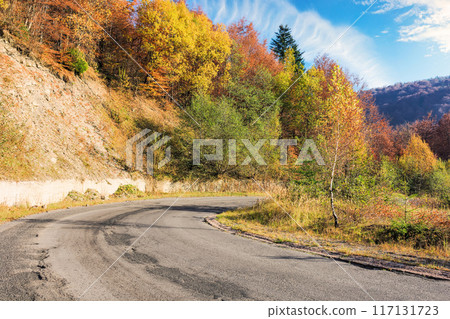 asphalt country road in mountain in autumn. forest on the hill in fall foliage. sunny weather. road trip through countryside of ukraine asphalt country road in mountain in autumn. forest on the hill in fall foliage. sunny weather. road trip through countryside of ukraine 117131723