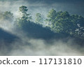 Morning sunlight touches flowing fog over the tropical rainforest. 117131810