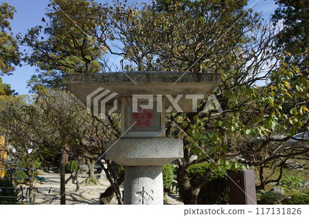 Scenery with stone lanterns_Dazaifu Tenmangu Shrine 117131826