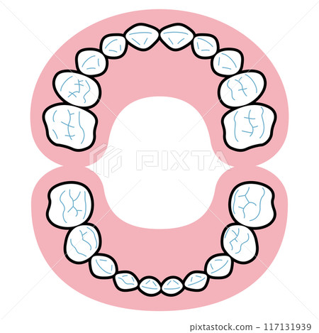 乳牙圖 乳牙圖 117131939