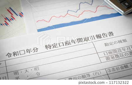 Specific account annual transaction report investment 117132322